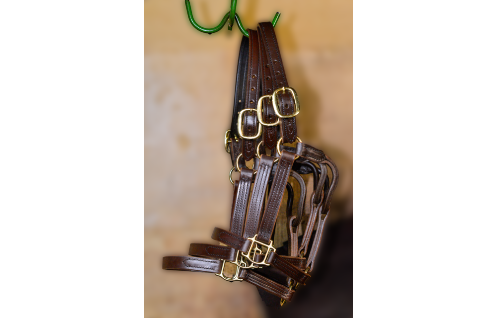 Leather Halter Kentucky Sale