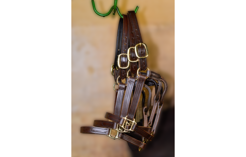 Kentucky Sale Halter