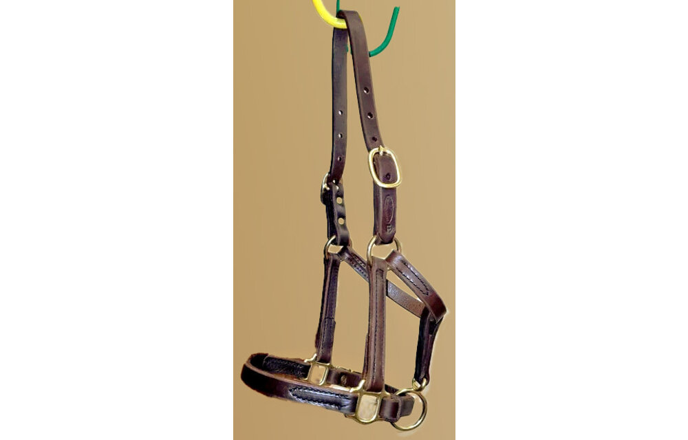 Figure 8 Foal & Newborn Turnout Halters | Quillin Leather