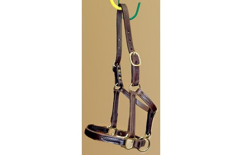 Figure 8 Foal & Newborn Turnout Halters | Quillin Leather