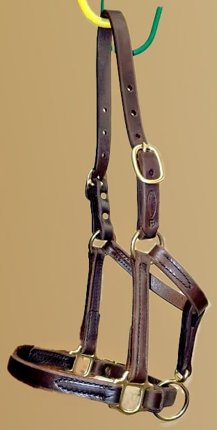 Figure 8 Foal & Newborn Turnout Halters | Quillin Leather