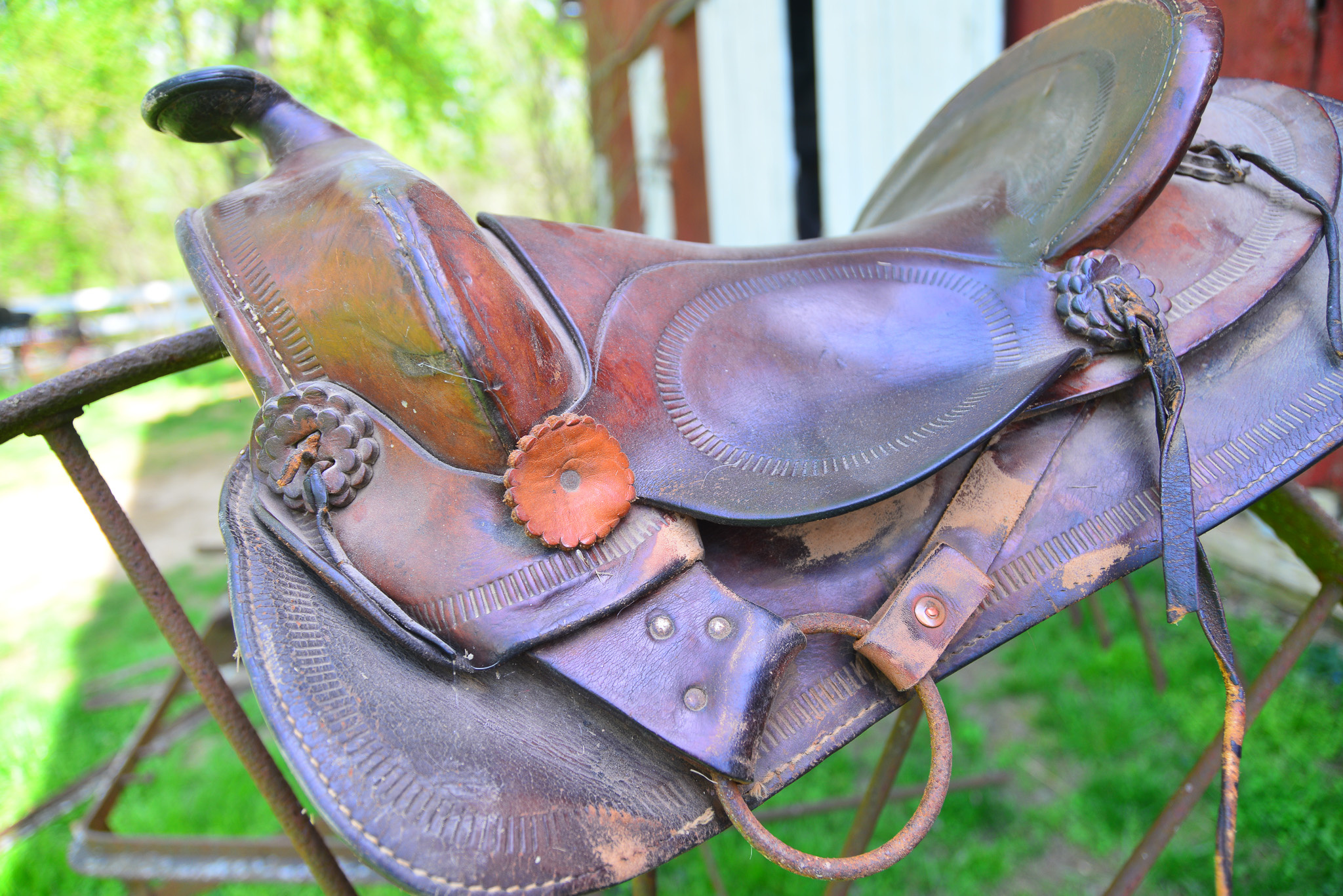 Halter, Bridle and Saddle Repair