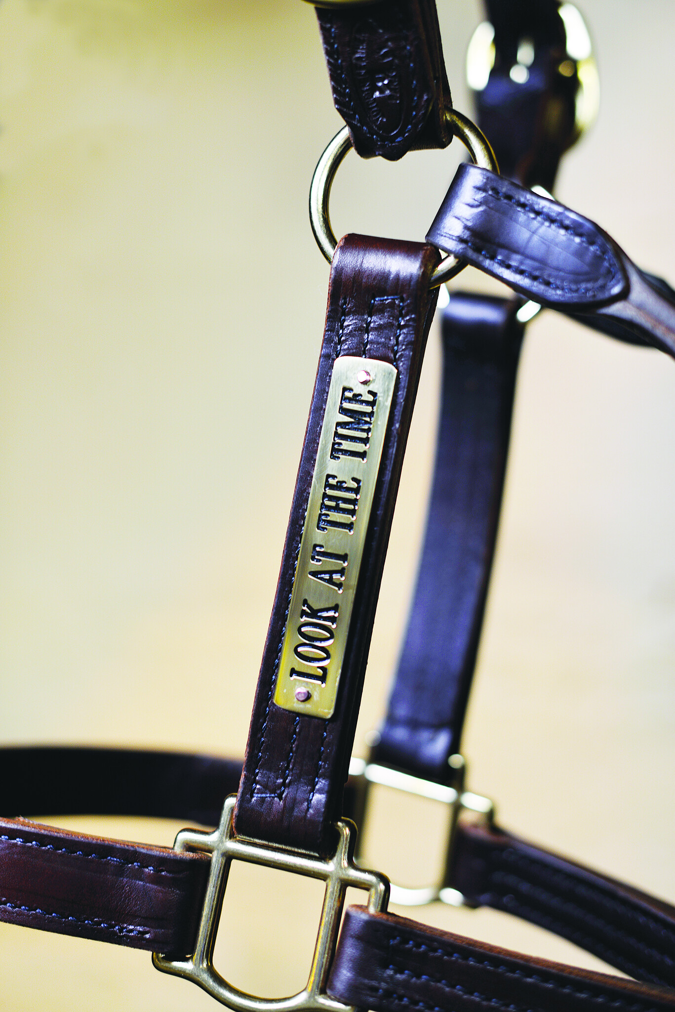 Quillin Halters