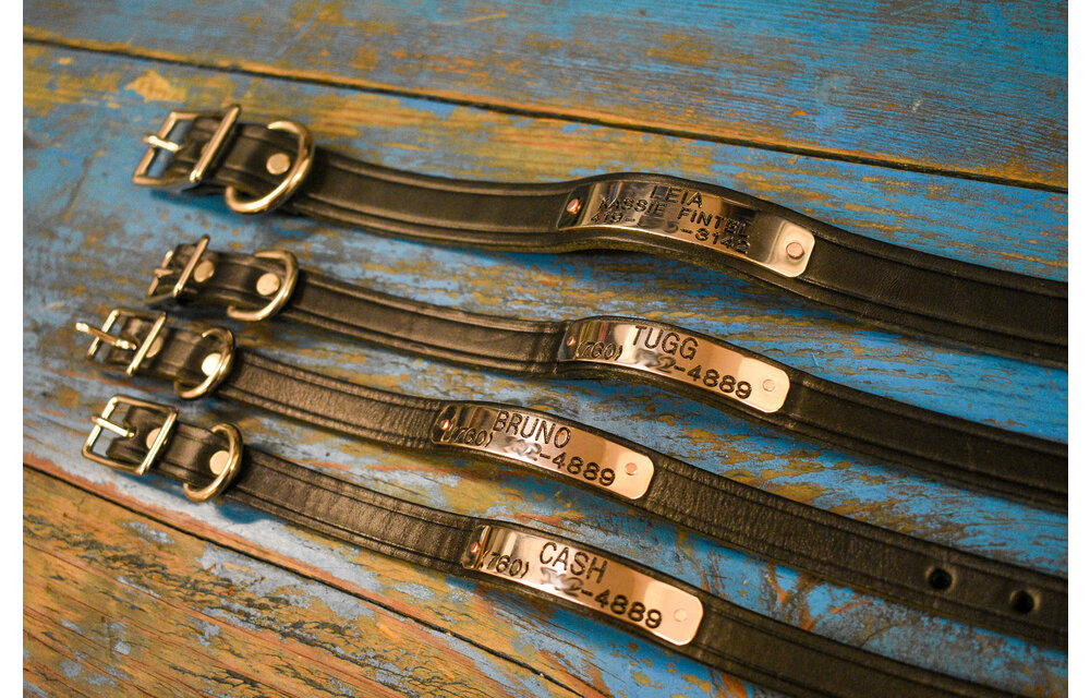 Collar/Flat Dog 5/8 or 7/8" - 1 line