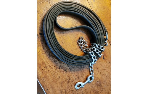 Leather Stallion Shank