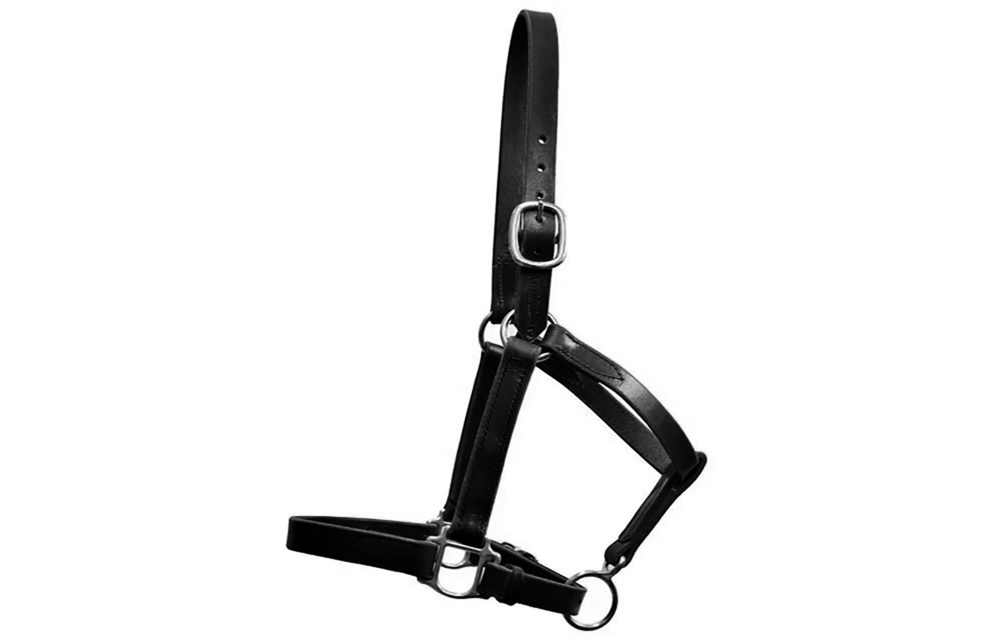Halter Quillin Turnout