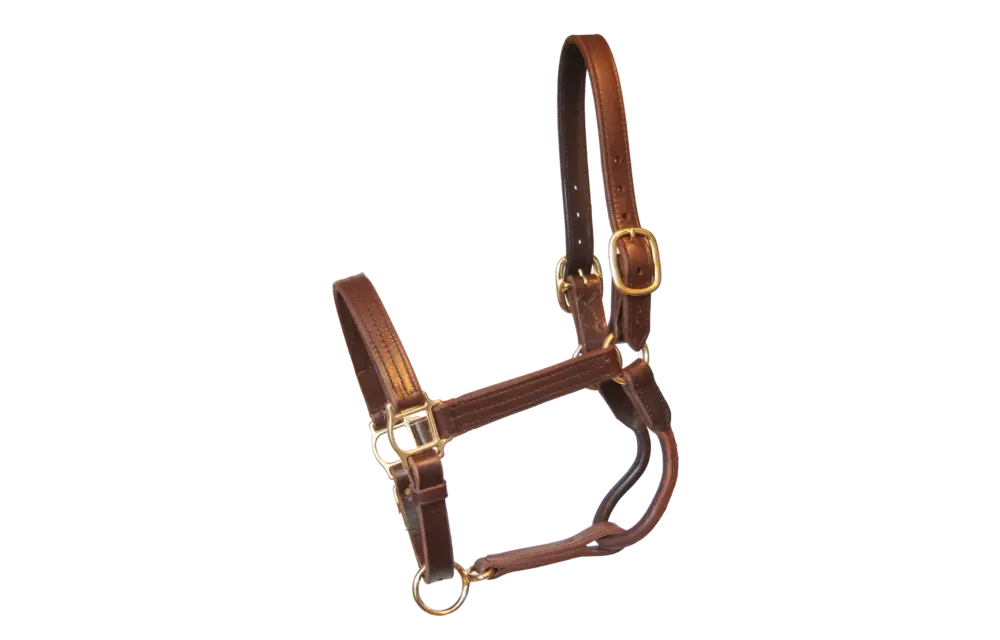 Leather Halter Old Friends Lined Nose & Adjustable Chin