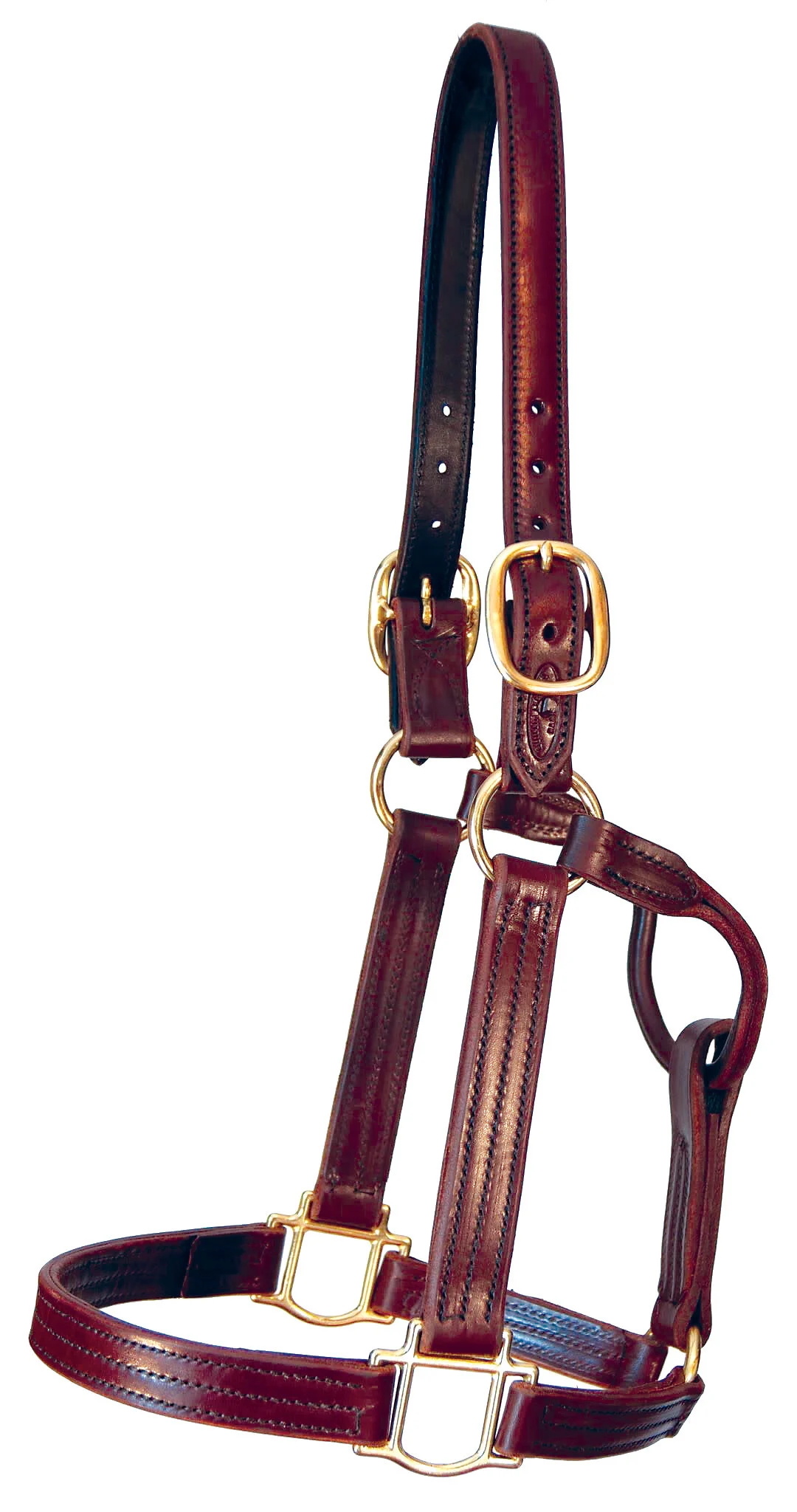 Quillin Sale or Turnout Halter?