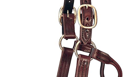Quillin Leather - Quillin Leather & Tack, Inc