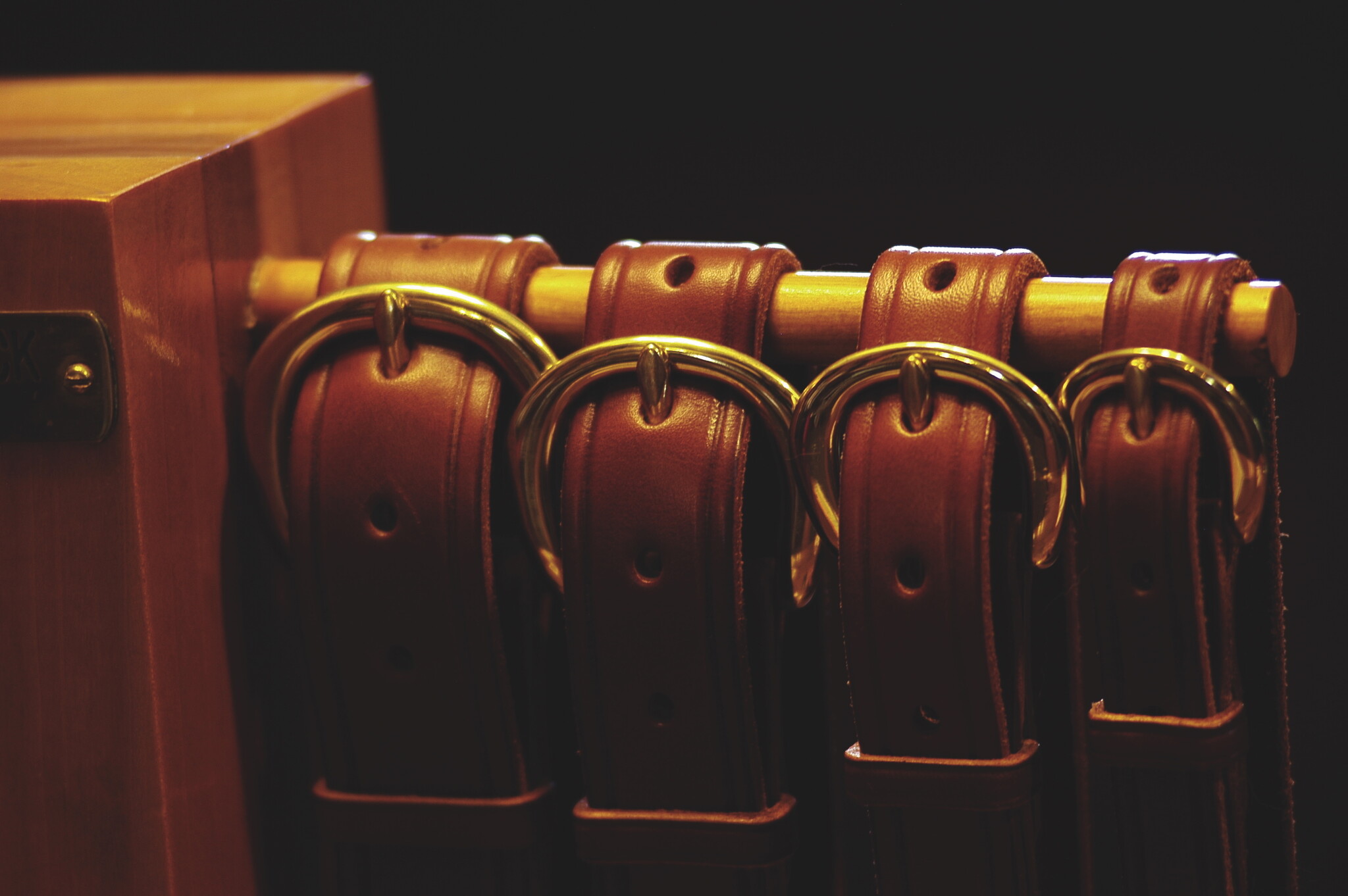 The Ultimate Halter Plate Kentucky Belt