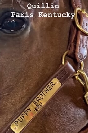 Repairs - Quillin Leather offers a full repair shop