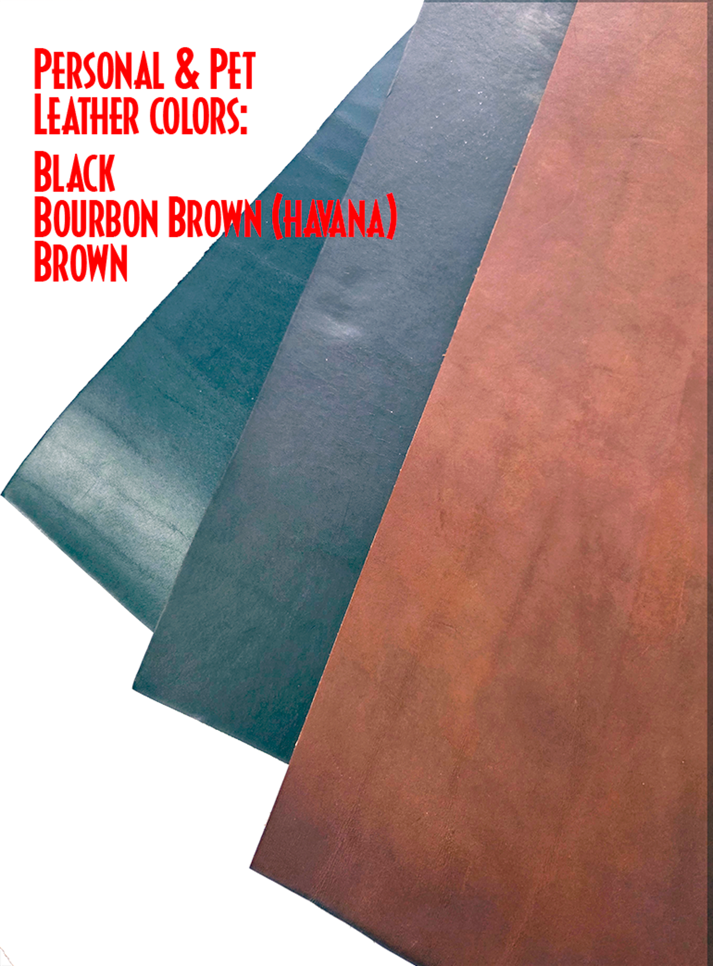 1" Creased Halter Plate Belt