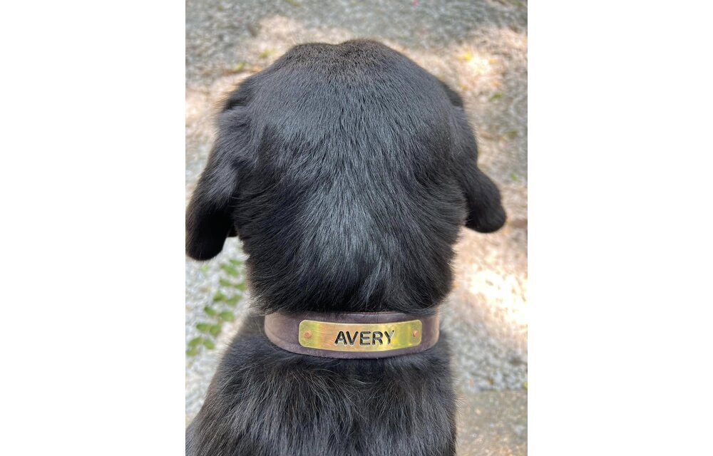 Collar/Flat Dog 5/8 or 7/8" - 1 line