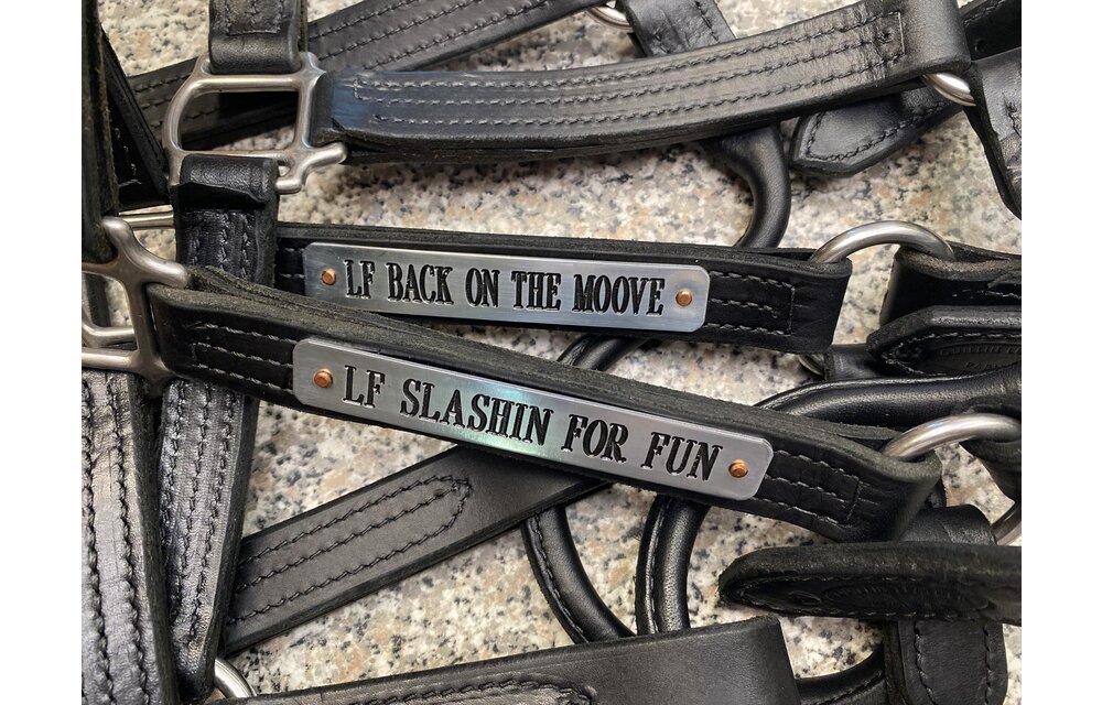 Leather Halter Stallion Sale