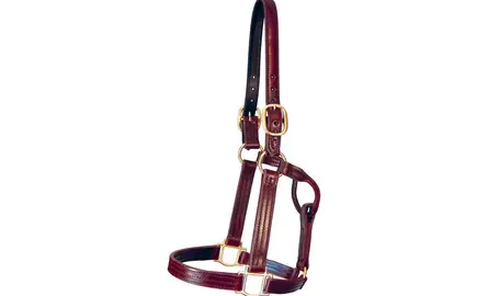 THe Old Friends Halter from Quillin Leather