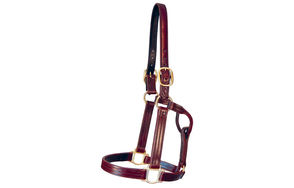 THe Old Friends Halter from Quillin Leather