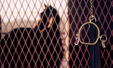 Kentucky, Thoroughbreds and Quillin Leather