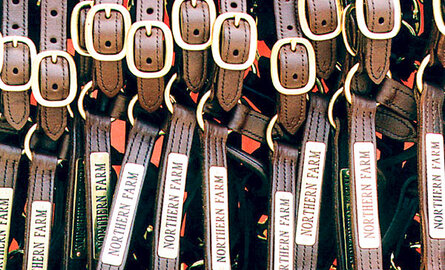 Donna and Ralph Quillin