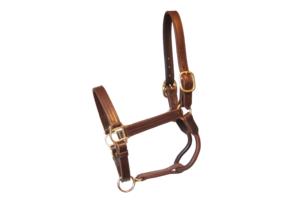 Old Friends Small Yearling #1 Black & Silver Add Snap