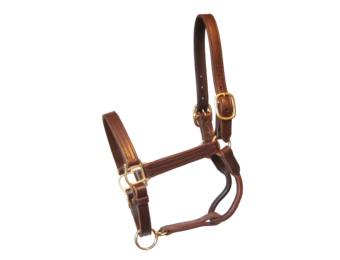 Old Friends Small Yearling #1 Black & Silver Add Snap