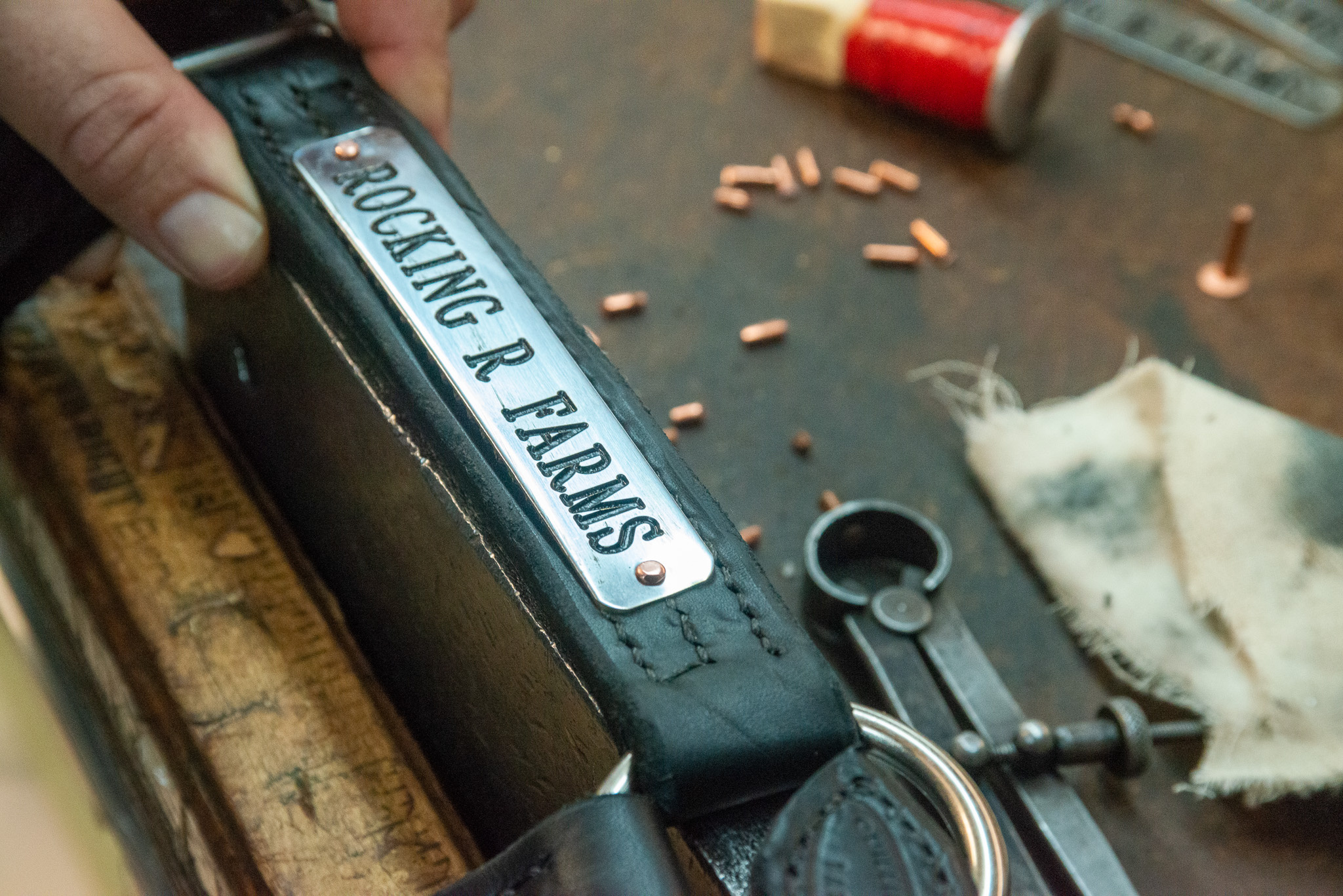 Engraved halter name plates