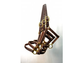 Weanling Turnout Special