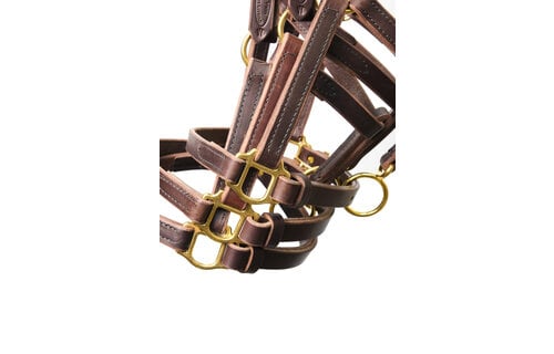 Weanling Turnout Special