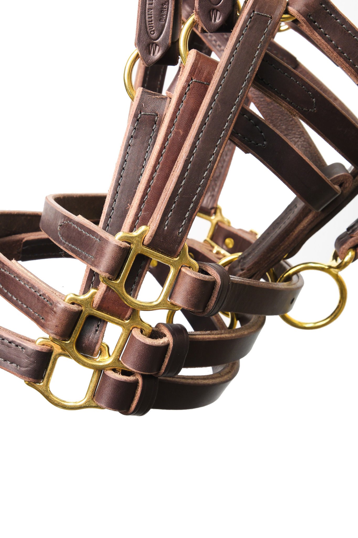 Foal Turnout Special