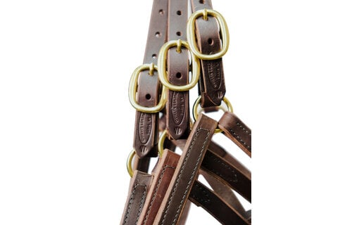 Weanling Turnout Special