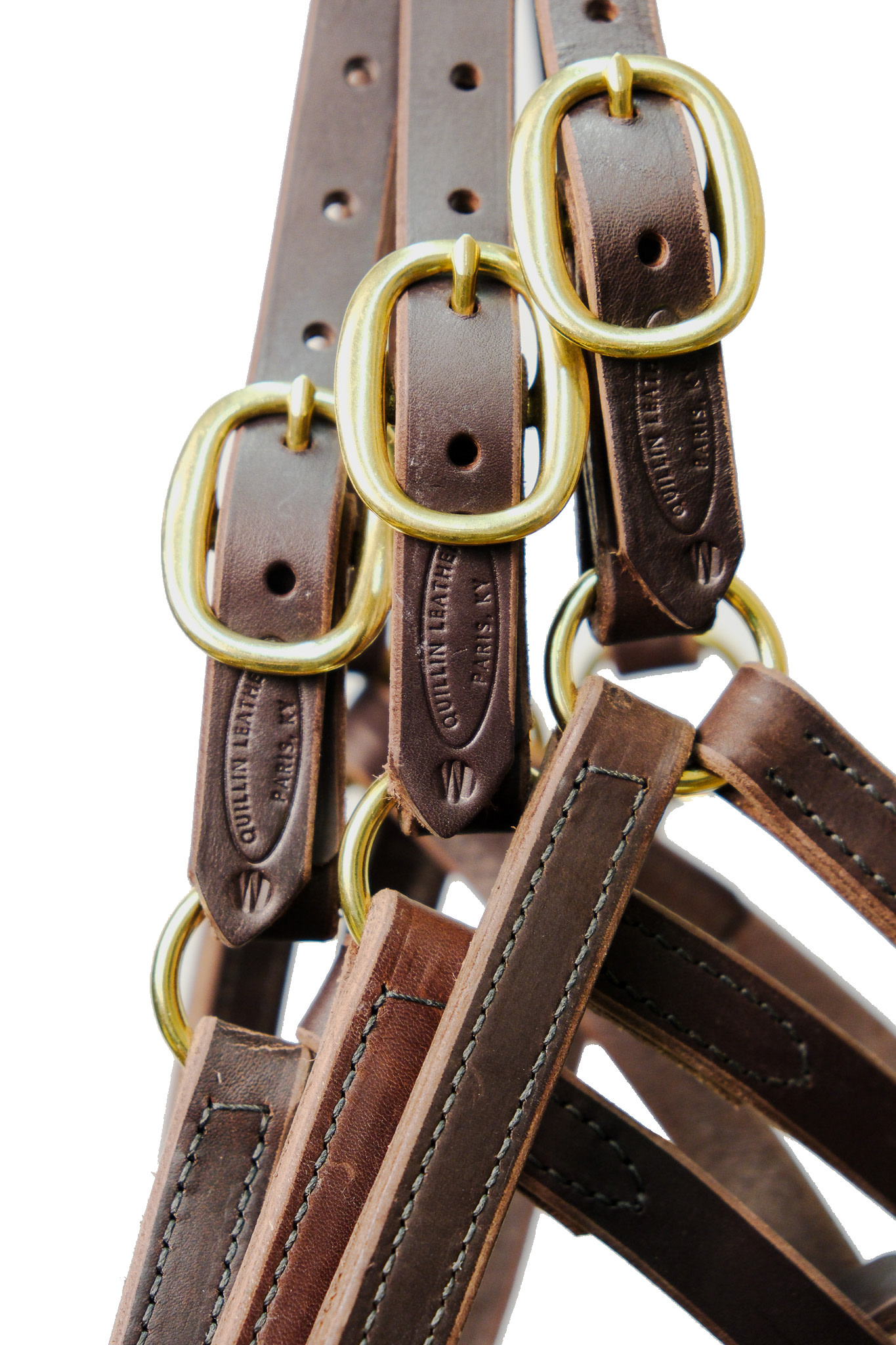 Weanling Turnout Special