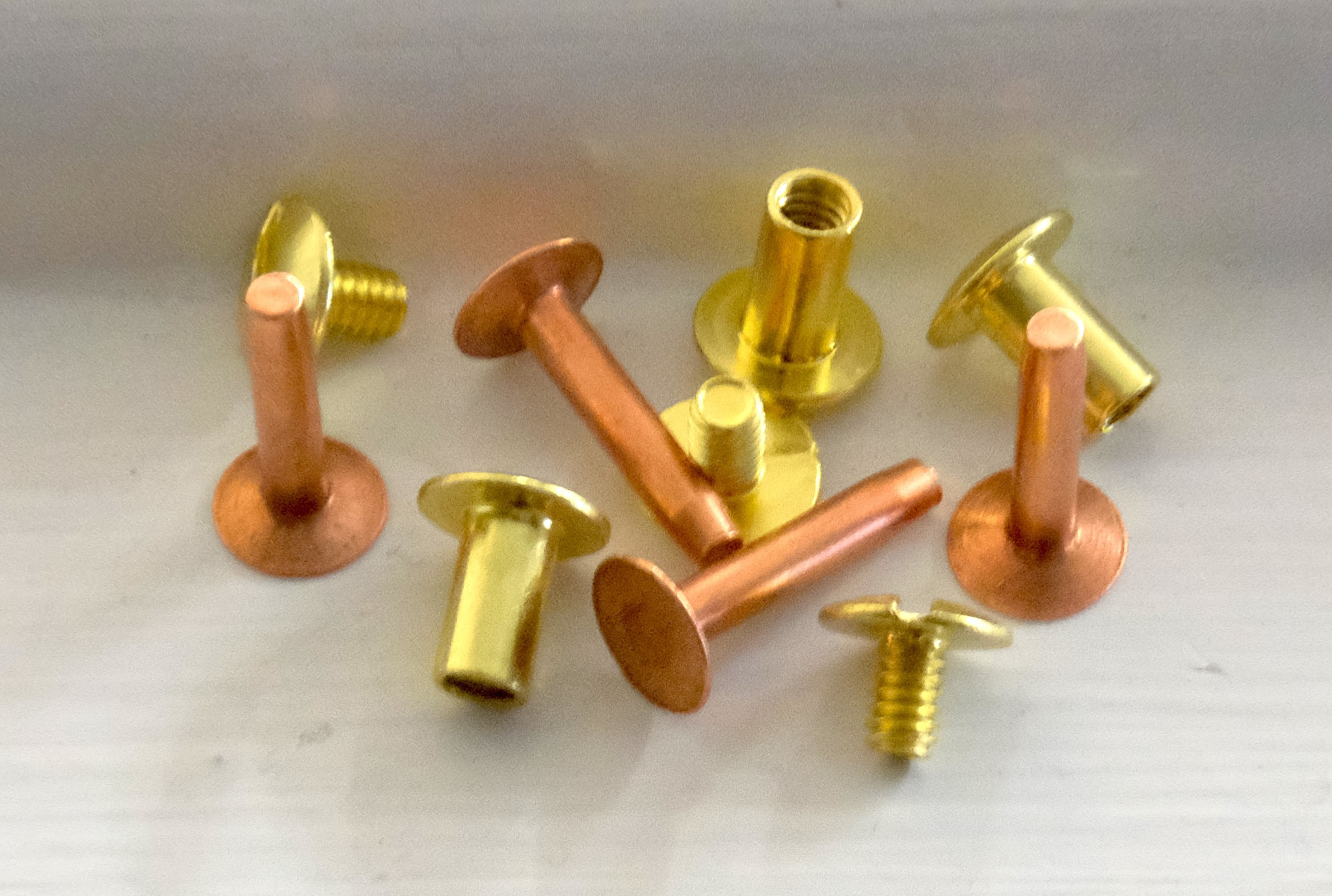 Name Plate copper rivets and Brass Chicago Screws