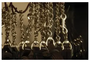 Sale Shank - 12 link