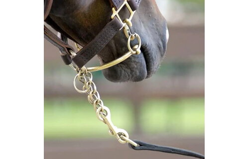 Sale Shank - 12 link