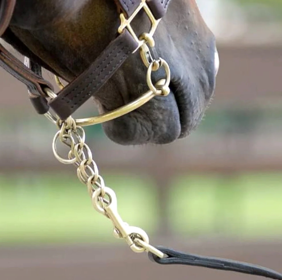 Sale Shank - 12 link