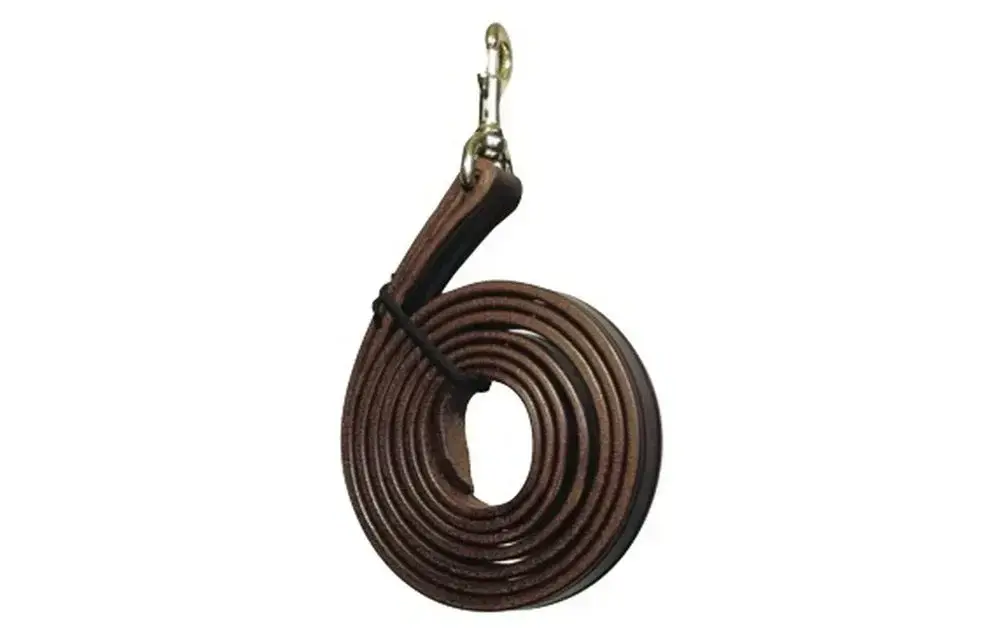 Lead Shank Snap Claiborne® Style Brown