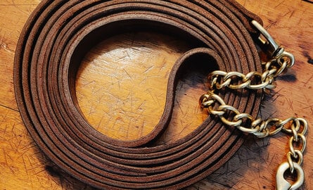 Stallion Lead Shanks