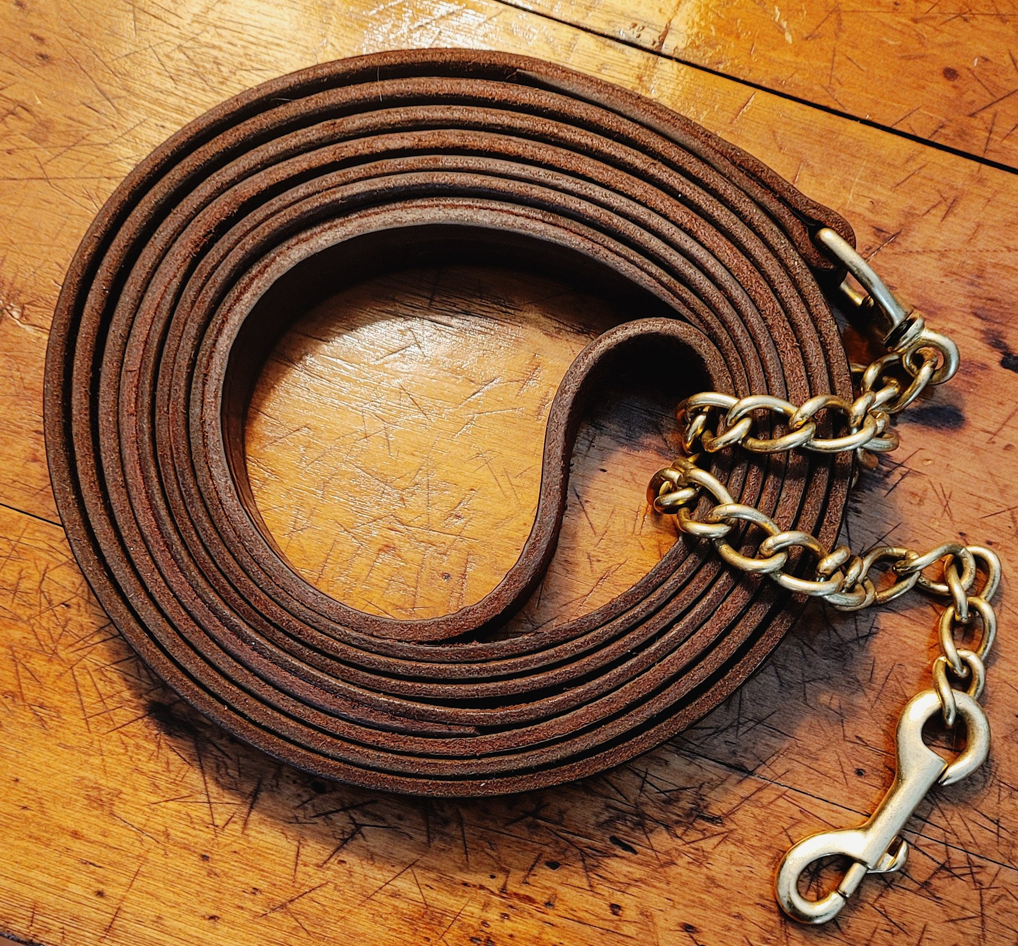 Stallion Lead Shanks