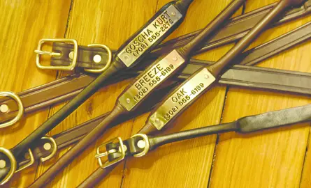 Quillin Dog Collars and Leashes