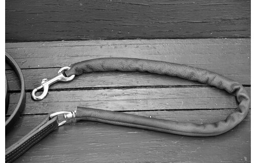 Repair Shank Chain Cover