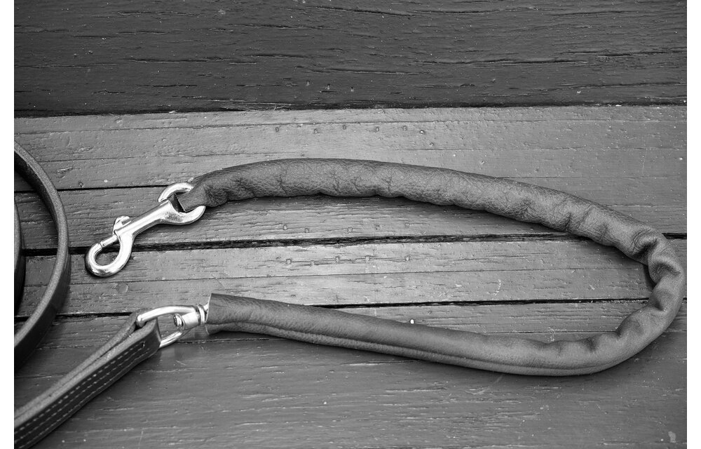 Repair Shank Chain Cover