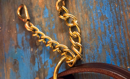 The Quillin New Market Shank