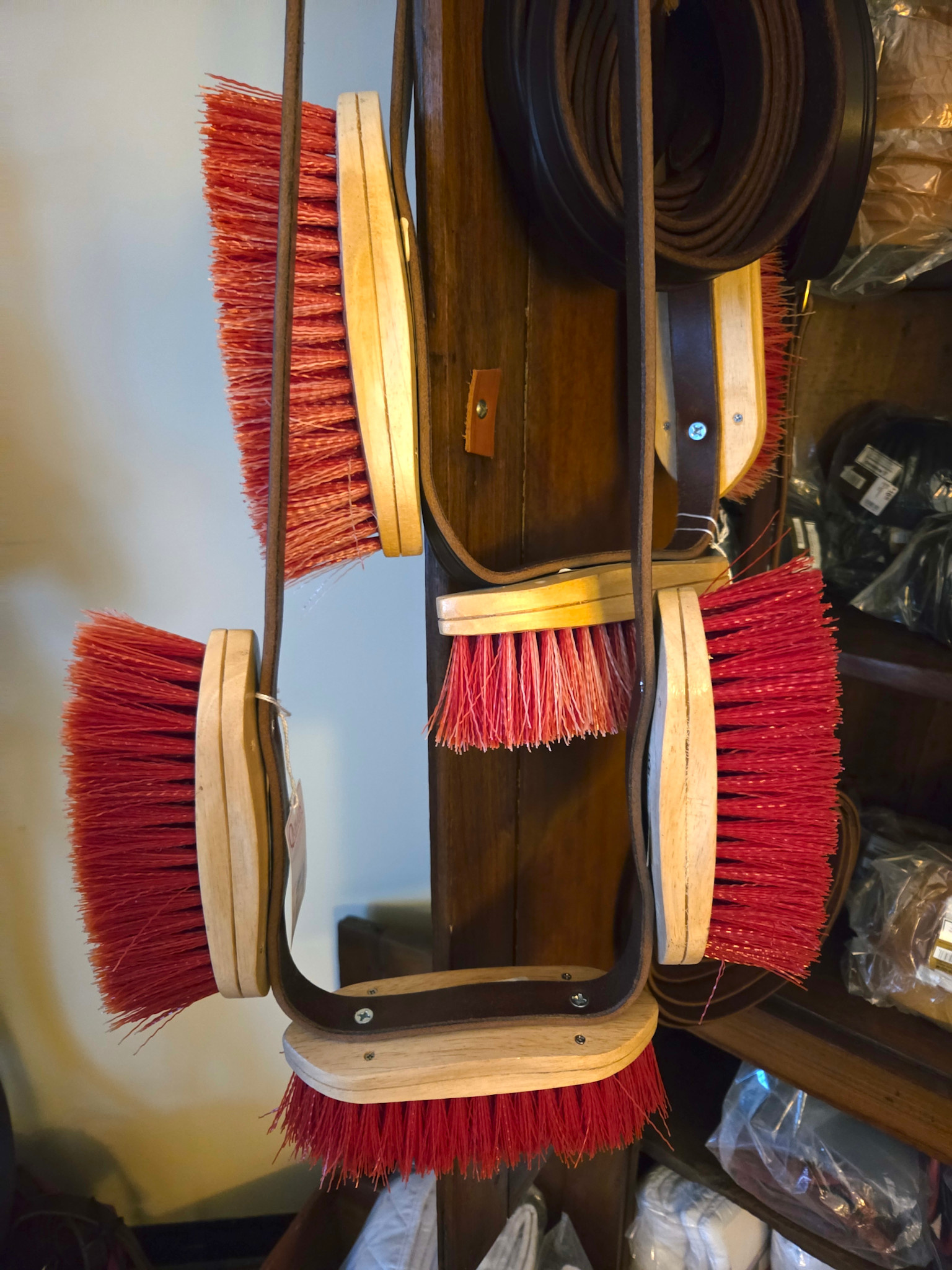 Stallion Brushes
