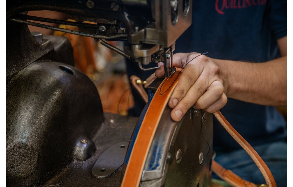 Halter Quillin Turnout