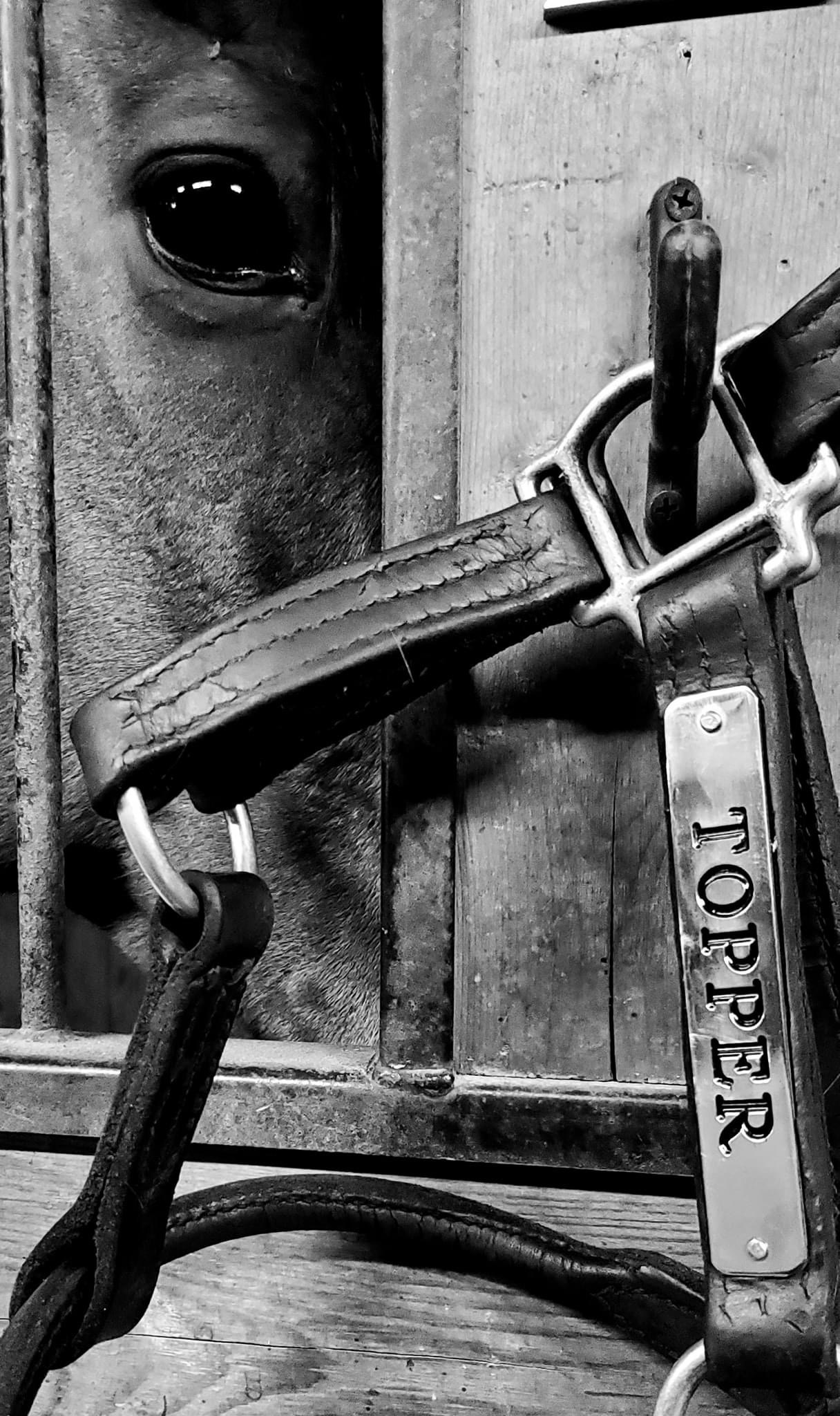 Quillin in house repairs