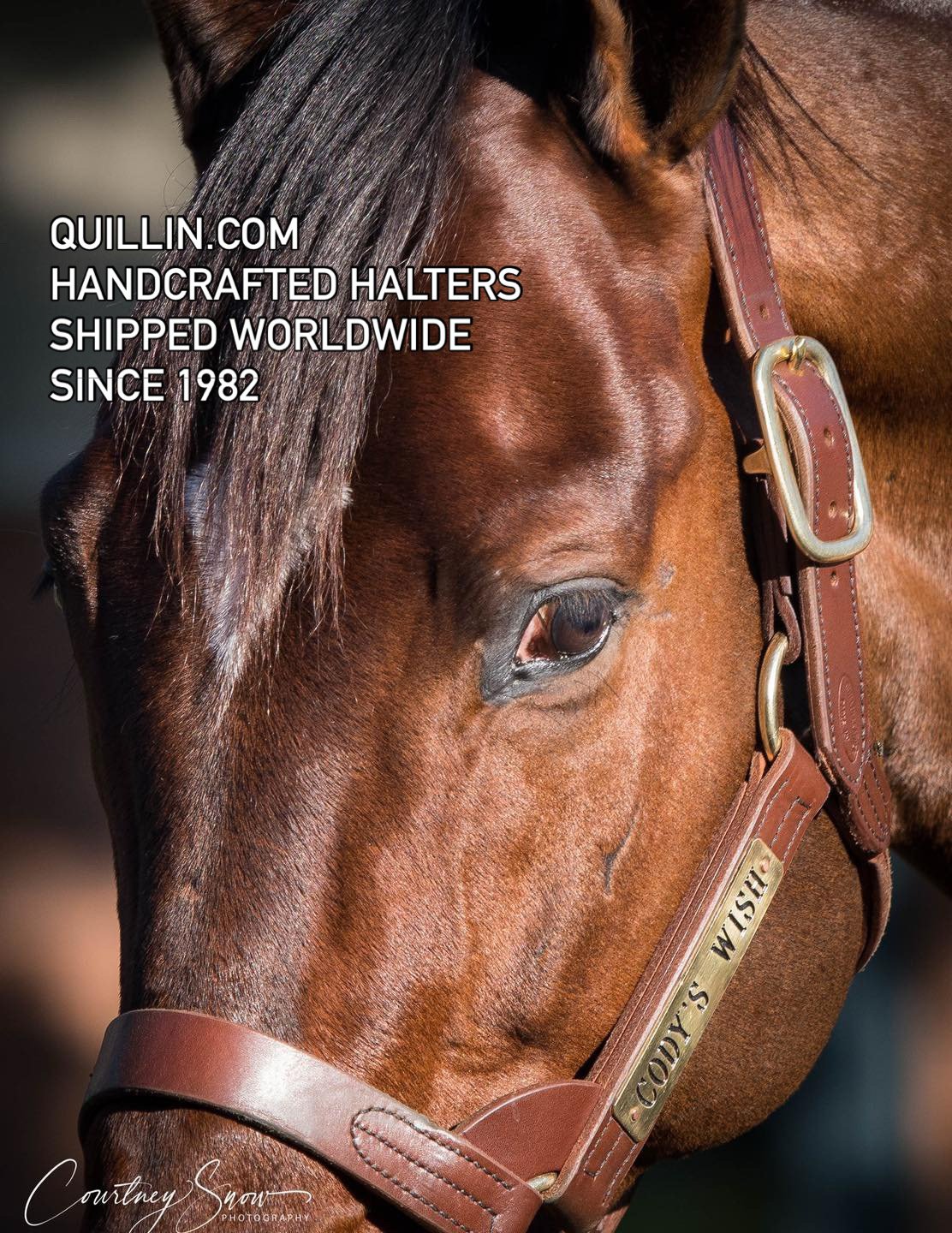 Kentucky heritage halters