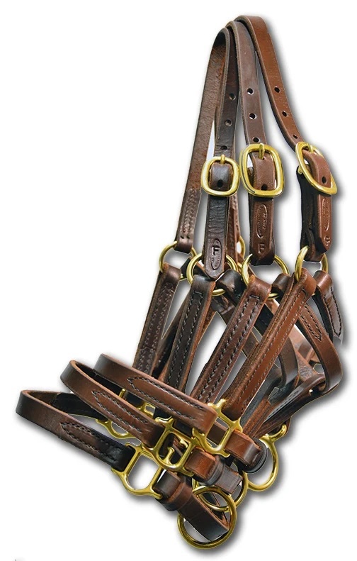 Foal Halters Save 20%
