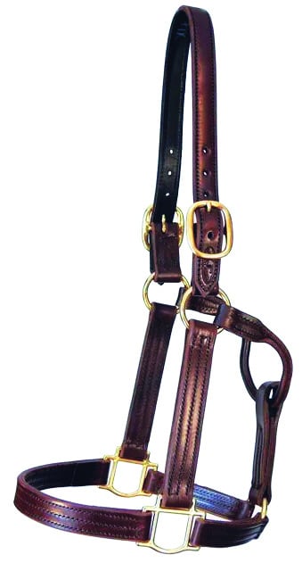 leather quillin halter