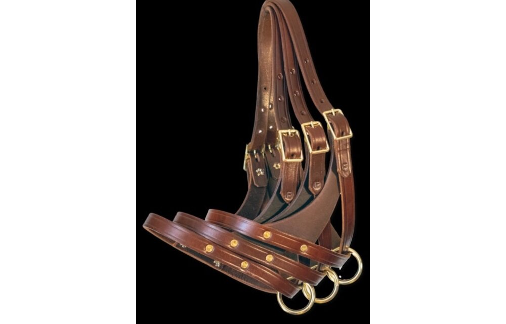 Foal Halter