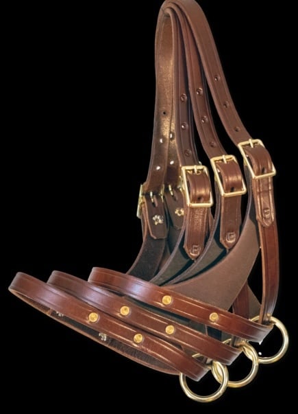 Foal Halter