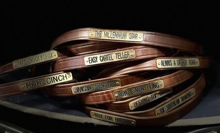 Quillin Mare neck straps - ID collars